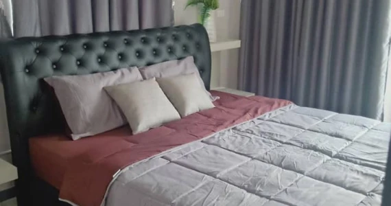 รูปภาพ เดอะ พีส (The Peach)