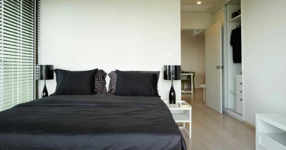 รูปภาพ โนเบิล โซโล (Noble Solo)