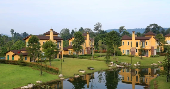 รูปภาพ แมกโนเลียส์ เฟรนซ์ คันทรี (Magnolias french country)