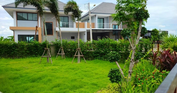 รูปภาพ โชติกา พลัส (Chotika Plus)