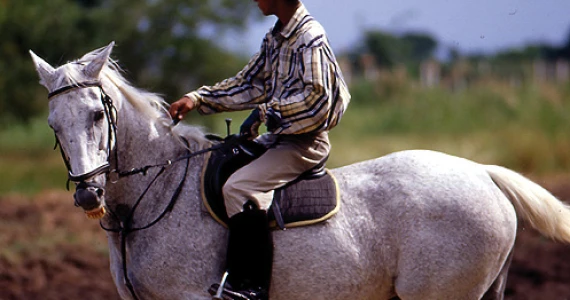 รูปภาพ วิจิตราธานี (Vichitra Thani)