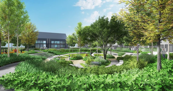 รูปภาพ อิคอนเนเจอร์ ราชพฤกษ์ - 345 (Iconature Ratchaphruek-345)