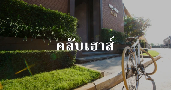 รูปภาพ ทาวน์ อเวนิว สองแคว-พิษณุโลก (Town Avenue Songkwae-Phitsanuloke)