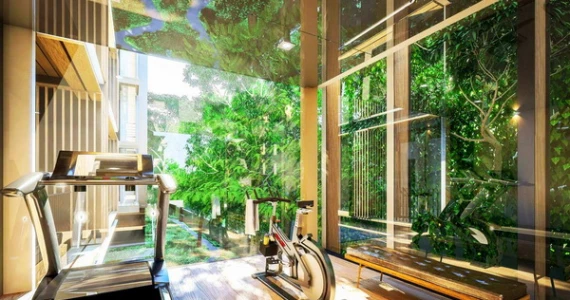 รูปภาพ ฟินน์ อารีย์ (Fynn Aree)