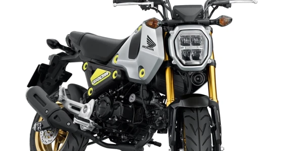 รูปภาพ ฮอนด้า Honda MSX125 GROM (ABS) ปี 2020