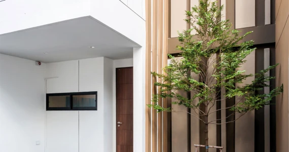 รูปภาพ เรดวูด ดิ เออร์เบิ้น ฮาบิแทด (Redwood The Urban Habitat)