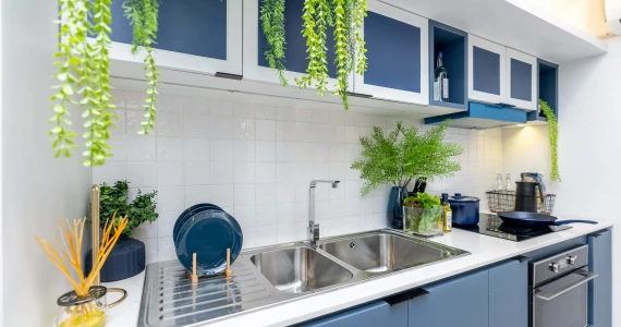 รูปภาพ ไบรตัน อมตะ-ศุขประยูร (Brighton Aamata-Sukprayoon)