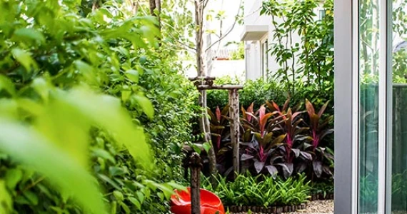 รูปภาพ ฟอร์เร่ ลำลูกกา - คลอง 5 (Foret Lumlukka-Klong 5)