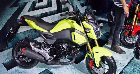 รูปภาพ ฮอนด้า Honda MSX125 SF ปี 2016
