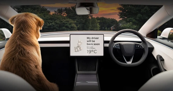 รูปภาพ เทสลา Tesla Model 3 Rear-Wheel Drive ปี 2024
