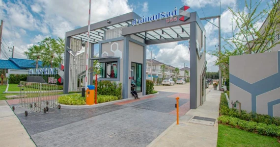 รูปภาพ ปาล์มสปริงส์ บลิส (Palmspring Blis)