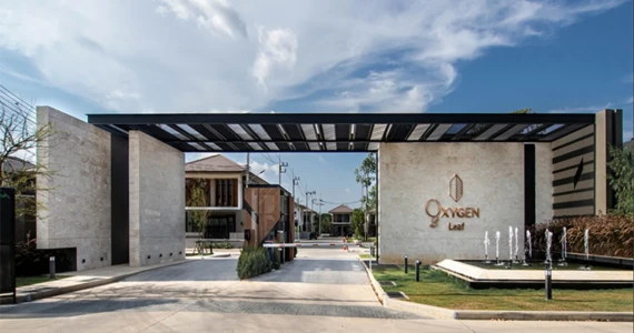 รูปภาพ ออกซิเจน ลีฟ (Oxygen Leaf)