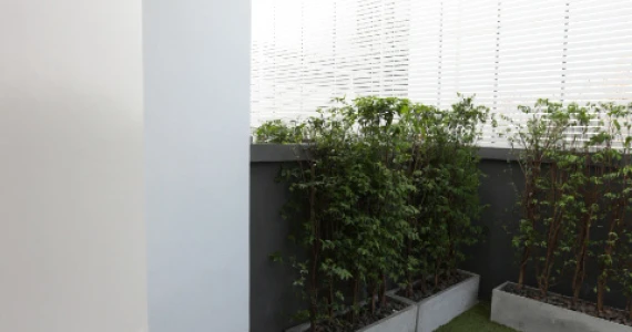 รูปภาพ เนอวานา คัฟเวอร์ อ่อนนุช (Nirvana Cover On-nut)