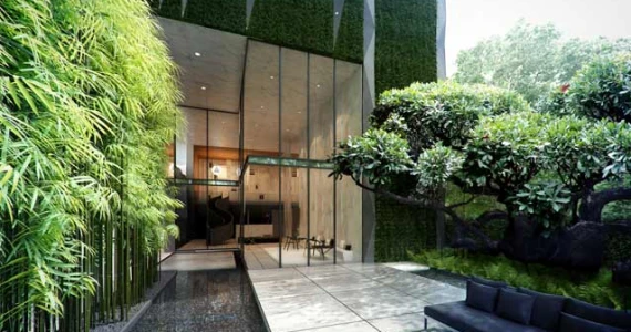 รูปภาพ ไซมิส ราชครู (Siamese RatchaKru)