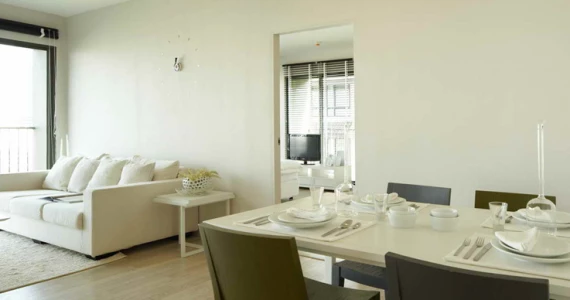 รูปภาพ โนเบิล โซโล (Noble Solo)