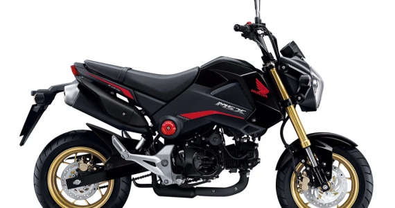 รูปภาพ ฮอนด้า Honda MSX125 MSX125F TH ปี 2015