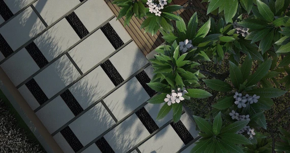 รูปภาพ อาสะ อยุธยา-โรจนะ (Asa Ayuttaya-Rojana)