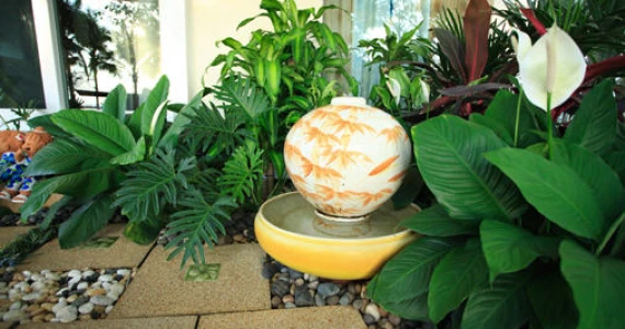 รูปภาพ คาซาลูนา พาราดิโซ (Casalunar Paradiso)