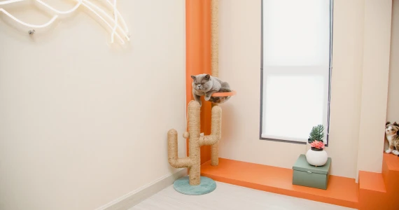 รูปภาพ ศุภาลัย วิลล์ วงแหวน-ลำลูกกา คลอง 7 (ศุภชวาล) (Supalai Ville Wongwaen-Lamlukka Klong 7)