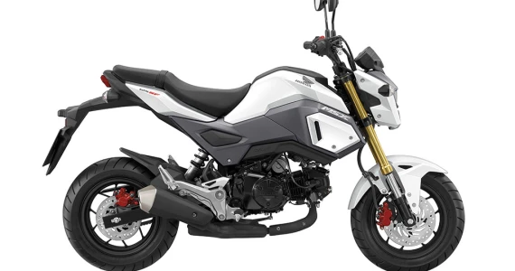 รูปภาพ ฮอนด้า Honda MSX125 SF ปี 2016