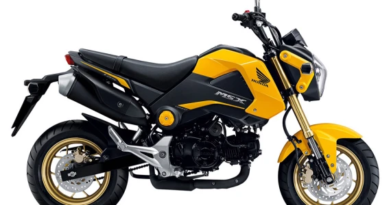 รูปภาพ ฮอนด้า Honda MSX125 MSX125F TH ปี 2015