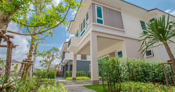 รูปภาพ ปาล์มสปริงส์ บลิส (Palmspring Blis)