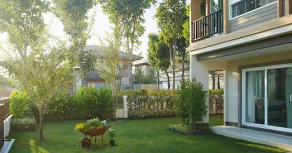 รูปภาพ คณาสิริ ศาลายา (Kanasiri Salaya)