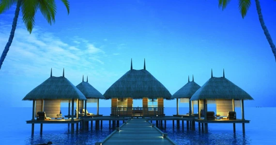 รูปภาพ เอโทล มัลดีฟส์ ปาล์ม บางนา-วงแหวน (Atoll Maldives Palms)
