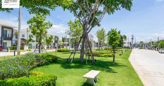 รูปภาพ แลนซีโอ คริป เพชรเกษม - พุธมณฑลสาย 4  (Lanceo Crib Petchkasem - Sai 4)