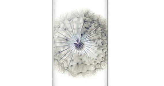 รูปภาพ แซดทีอี ZTE nubia Z11
