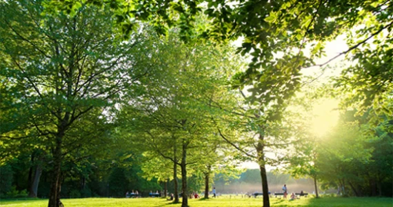 รูปภาพ ดีญ่า วาเลย์ หางดง - ทิพย์ภิรมย์ (Diya Valley Hangdong)