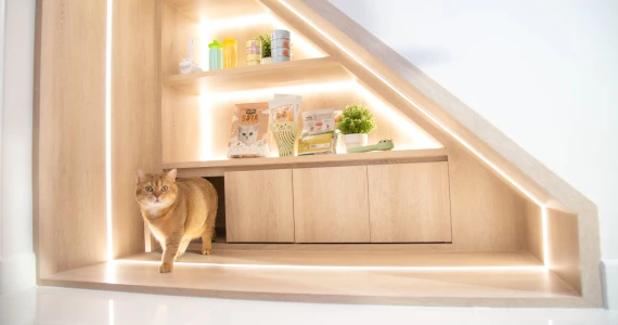 รูปภาพ ศุภาลัย วิลล์ วงแหวน-ลำลูกกา คลอง 7 (ศุภชวาล) (Supalai Ville Wongwaen-Lamlukka Klong 7)