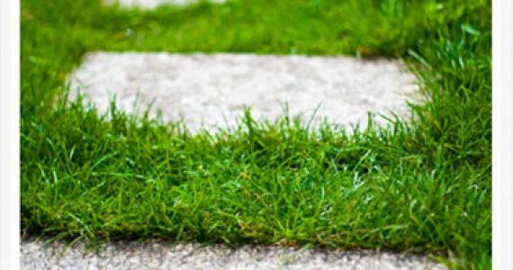 รูปภาพ ซิกเนเจอร์ วัชรพล (Sixnature Watcharapol)