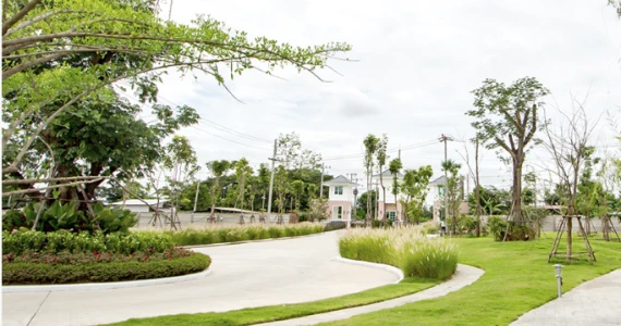 รูปภาพ เดอะ คลิฟฟอร์ด (The Clifford)