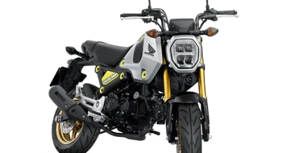 รูปภาพ ฮอนด้า Honda MSX125 GROM (ABS) ปี 2020
