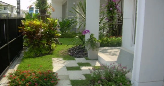 รูปภาพ ชัยพฤกษ์ วัชรพล (Chaiyapruk Watcharapol)