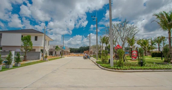 รูปภาพ ปาล์มสปริงส์ บลิส (Palmspring Blis)