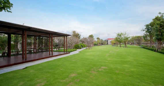 รูปภาพ เศรษฐสิริ ชัยพฤกษ์-แจ้งวัฒนะ (Setthasiri Chaiyaphruek-Chaengwattana)