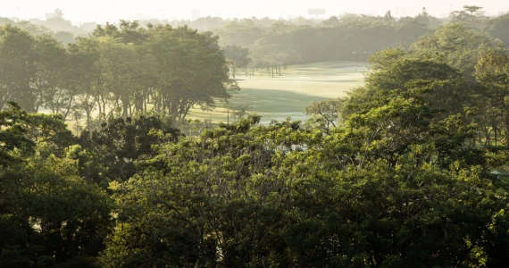 รูปภาพ นวธานี เรสซิเดนซ์ (Navatanee Residence)