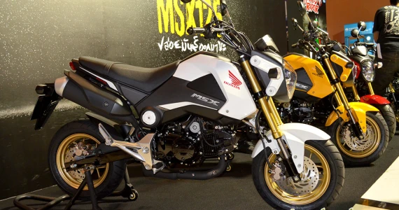รูปภาพ ฮอนด้า Honda MSX125 MSX125F TH ปี 2015