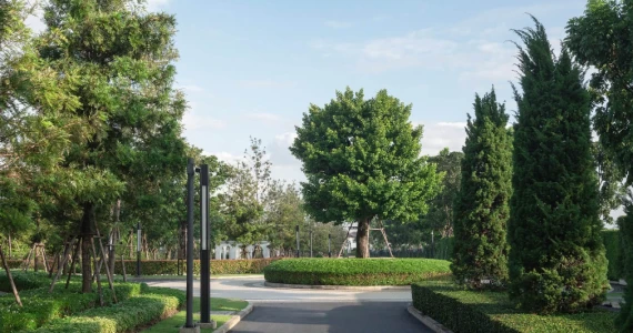 รูปภาพ นิยาม บรมราชชนนี (Niyahm Residence)