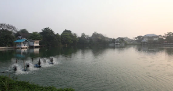 รูปภาพ อควา ดิวิน่า (Aqua Divina)