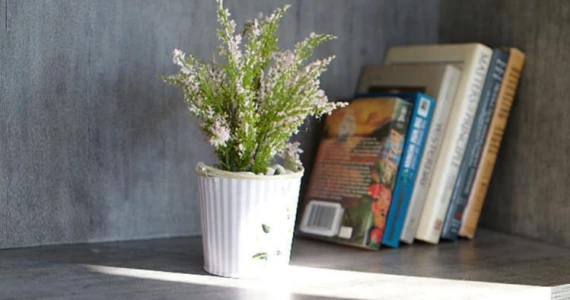 รูปภาพ เอ็น.ซี. รอยัล ปิ่นเกล้า (NC Royal Pinklao)