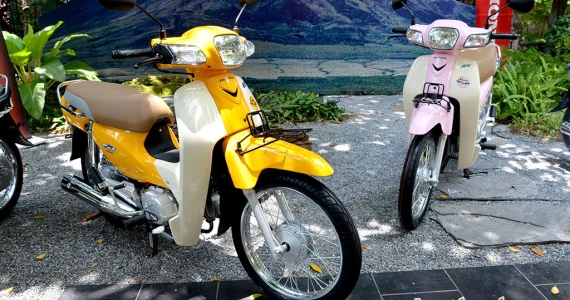 รูปภาพ ฮอนด้า Honda Super Cub 2014 ปี 2014