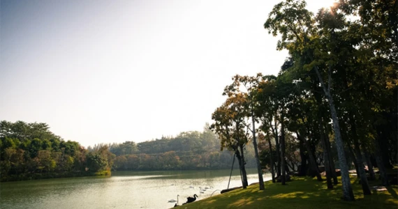 รูปภาพ สวอนเลค เขาใหญ่ (Swan Lake Khao Yai)