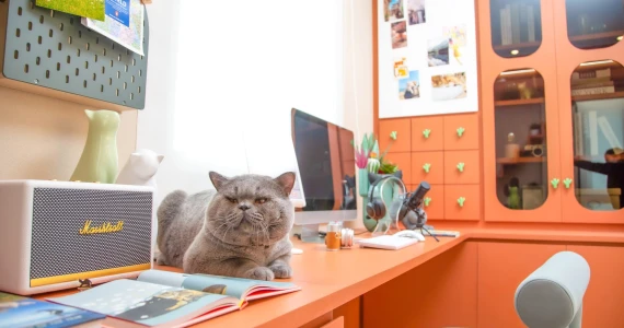 รูปภาพ ศุภาลัย วิลล์ วงแหวน-ลำลูกกา คลอง 7 (ศุภชวาล) (Supalai Ville Wongwaen-Lamlukka Klong 7)