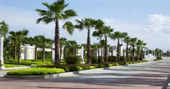 รูปภาพ คิวเฮ้าส์ อเวนิว ราชพฤกษ์ - พระราม 5 (Q.House Avenue Rama 5)