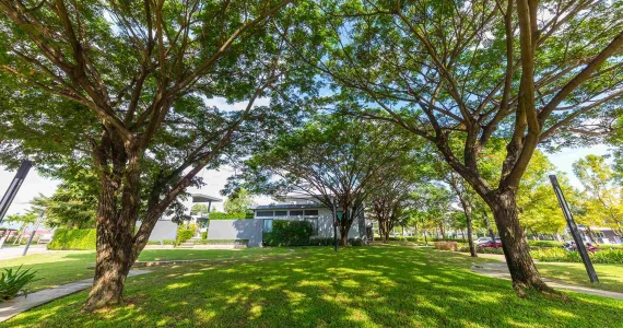 รูปภาพ อินนิซิโอ เชียงใหม่ (inizio Chiang Mai)