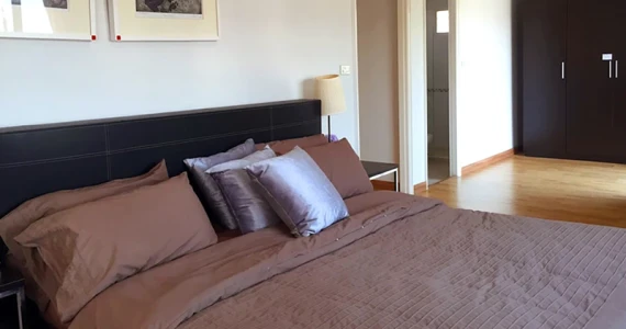 รูปภาพ ภัทรินทร์ 2 คูบางหลวง-ปทุมธานี (Pattarin 2 Khubang Luang - Pathum Thani)