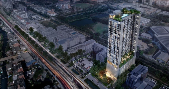 รูปภาพ คอมมอน ทียู (COMMON TU)